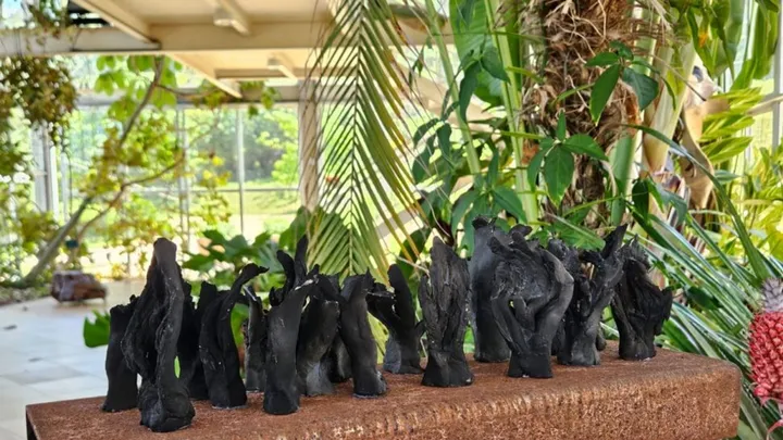 Exposição de cerâmica ‘InVento’ fica no Jardim Botânico até 15 de novembro