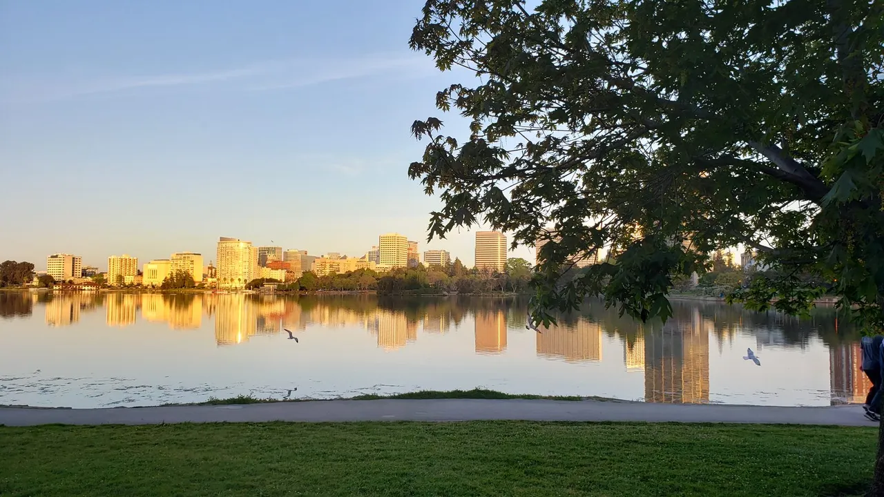 Vista de um lago e área verde em um parque urbano