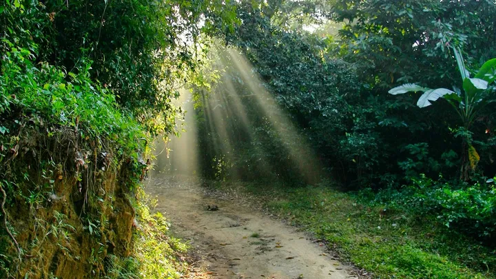 Trilhas e natureza na região de Sorocaba